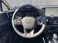Lexus NX 350h E-Four Luxury Line Aut. Grau - thumbnail 11
