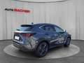 Lexus NX 350h E-Four Luxury Line Aut. Grau - thumbnail 6
