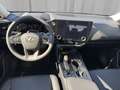 Lexus NX 350h Luxury 200 PS Allrad Grau - thumbnail 10