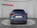 Lexus NX 350h E-Four Luxury Line Aut. Grau - thumbnail 5