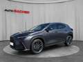 Lexus NX 350h E-Four Luxury Line Aut. Grau - thumbnail 1