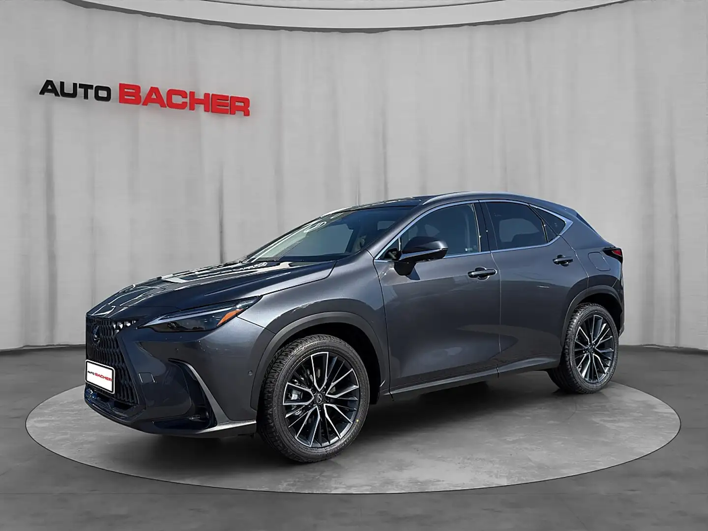 Lexus NX 350h Luxury 200 PS Allrad Grau - 1