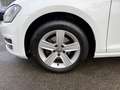 Volkswagen Golf VII Variant 1.4 TSI +STANDHEIZUNG+AHK Blanc - thumbnail 8
