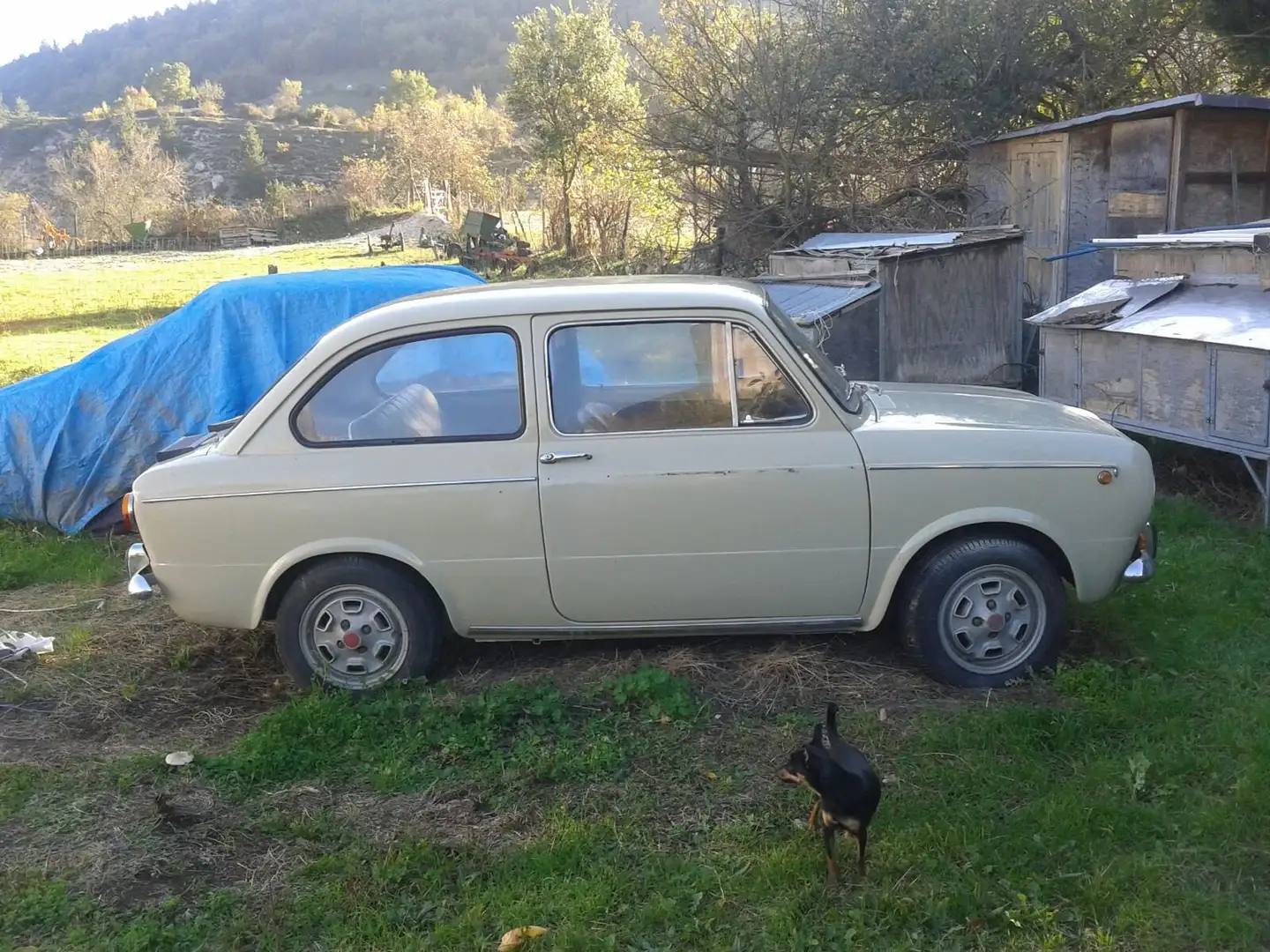 Fiat 850 special Бежевий - 2
