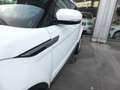 Land Rover Range Rover Evoque 2.2L TD4 Pure Tech 4x4 Aut. White - thumbnail 6