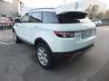 Land Rover Range Rover Evoque 2.2L TD4 Pure Tech 4x4 Aut. White - thumbnail 7