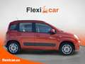 Fiat Panda K-Way 69cv EU6 - 5 P (2016) Rojo - thumbnail 5