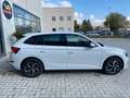 Skoda Scala 1.0 g-tec 90cv DRIVE 125 years (extra serie) Blanco - thumbnail 6