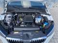 Skoda Scala 1.0 g-tec 90cv DRIVE 125 years (extra serie) Blanco - thumbnail 3
