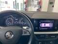 Skoda Scala 1.0 g-tec 90cv DRIVE 125 years (extra serie) Blanco - thumbnail 22