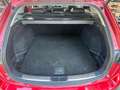 Mazda 6 Kombi Nakama Intense~Motorschaden Rouge - thumbnail 8