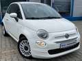 Fiat 500 *PDC*KLIMA*TEMPO*CARPLAY* Blanc - thumbnail 3