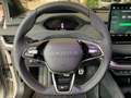Skoda Elroq RS Grau - thumbnail 5