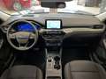 Ford Kuga Plug-In Hybrid Titanium*HUD*LED*Navi*R-Cam* Blau - thumbnail 11