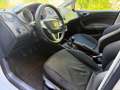SEAT Ibiza //PANO// Weiß - thumbnail 16