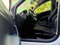 SEAT Ibiza //PANO// Weiß - thumbnail 15