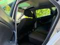SEAT Ibiza //PANO// Weiß - thumbnail 10