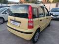Fiat Panda Panda 1.2 Dynamic Gpl Giallo - thumbnail 13