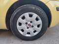 Fiat Panda Panda 1.2 Dynamic Gpl Giallo - thumbnail 19