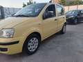 Fiat Panda Panda 1.2 Dynamic Gpl Giallo - thumbnail 9