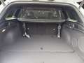 Kia Ceed SW / cee'd SW 1.5 T-GDI 140 PS DCT GT-LINE Weiß - thumbnail 15