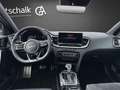 Kia Ceed SW / cee'd SW 1.5 T-GDI 140 PS DCT GT-LINE Weiß - thumbnail 10