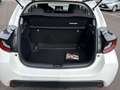 Toyota Yaris Yaris 1.0 5 porte Active Blanc - thumbnail 14