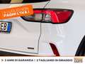 Ford Kuga 2.5 phev titanium 2wd 225cv e-shifter Bianco - thumbnail 16