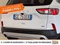 Ford Kuga 2.5 phev titanium 2wd 225cv e-shifter Bianco - thumbnail 17