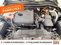 Ford Kuga 2.5 phev titanium 2wd 225cv e-shifter Bianco - thumbnail 11