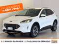 Ford Kuga 2.5 phev titanium 2wd 225cv e-shifter Bianco - thumbnail 1