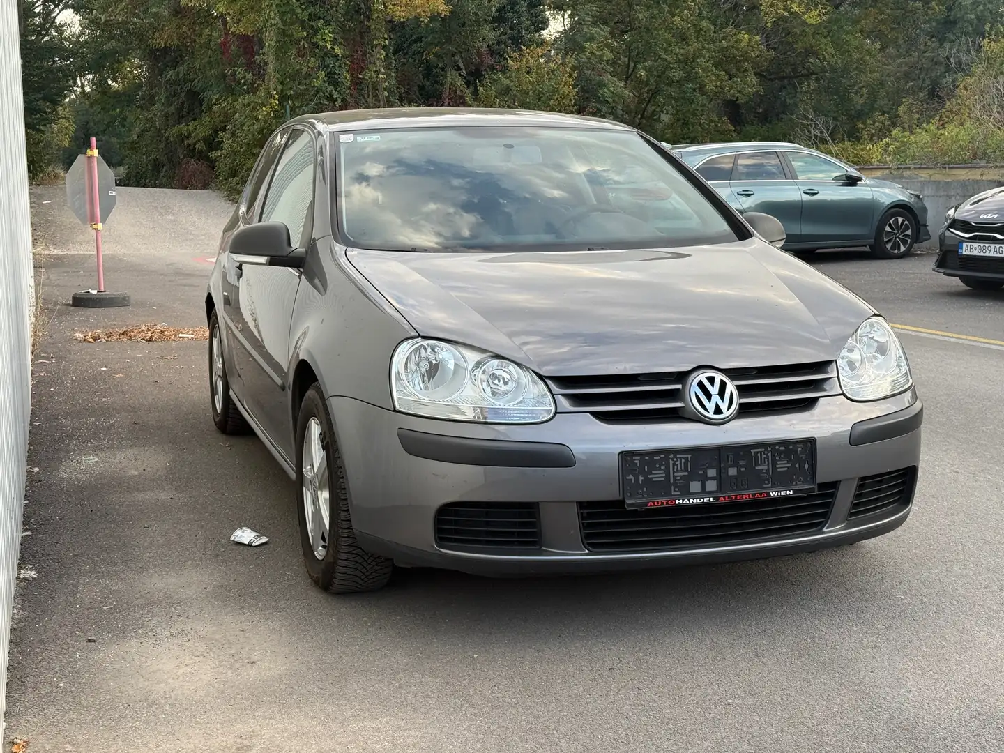 Volkswagen Golf Trendline 4Motion Grau - 2