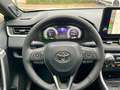 Toyota RAV 4 2.5 Hybrid 4x4 Auto AWD Schiebedach JBL Blanco - thumbnail 13