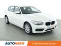 BMW 116 116i  *NAVI*PDC*SHZ* Bianco - thumbnail 8