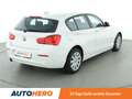BMW 116 116i  *NAVI*PDC*SHZ* Bianco - thumbnail 6