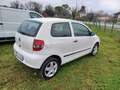 Volkswagen Fox Fox 1.4 tdi Bianco - thumbnail 3