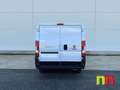 Fiat Ducato 30 L1 H1 2.3 1 (88 kW) Euro 6d-temp Blanco - thumbnail 8