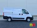 Fiat Ducato 30 L1 H1 2.3 1 (88 kW) Euro 6d-temp Blanco - thumbnail 3