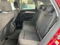 Audi Q5 40 TDI quattro advanced Rot - thumbnail 15