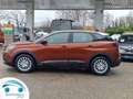 Peugeot 3008 1.5 BLUE HDI 96KW SS ACCES Brown - thumbnail 23