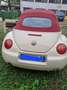 Volkswagen Beetle 19 td cv100 Бежевий - thumbnail 3