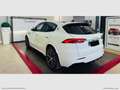 Maserati Grecale MHEV 330 CV Modena Bianco - thumbnail 14