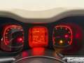 Fiat Panda Panda 1.2 Lounge Vert - thumbnail 13