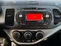 Kia Picanto 1.0 Easy 5p Bronze - thumbnail 15
