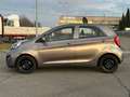 Kia Picanto 1.0 Easy 5p Bronze - thumbnail 8