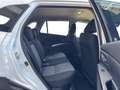 Suzuki S-Cross 1.4 HYBRID ALLGRIP shine Weiß - thumbnail 17
