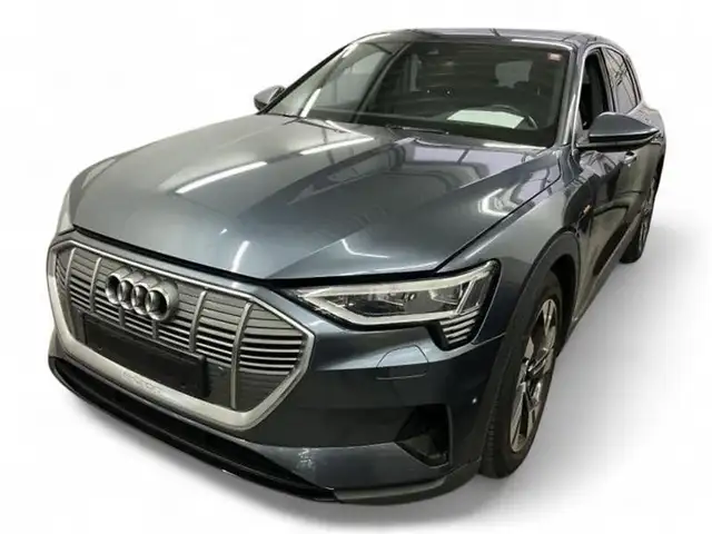 Audi e-tron 50 quattro 50 Basis Kamera/ACC/KeyLess/LE