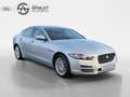 Jaguar XE Export-marchand uniquement Gris - thumbnail 3