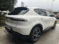 Alfa Romeo Tonale 1.5 160 CV MHEV TCT7 Veloce *COLORI VARI, PROMO AZZURRA* Weiß - thumbnail 4
