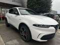 Alfa Romeo Tonale 1.5 160 CV MHEV TCT7 Veloce *COLORI VARI, PROMO AZZURRA* Weiß - thumbnail 3